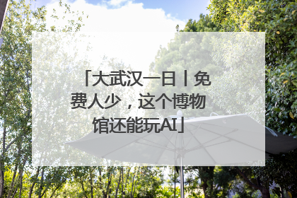 大武汉一日丨免费人少，这个博物馆还能玩AI
