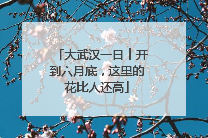 大武汉一日︱开到六月底，这里的花比人还高