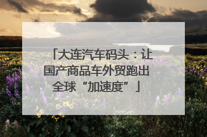大连汽车码头：让国产商品车外贸跑出全球“加速度”