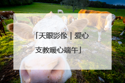 天眼影像｜爱心支教暖心端午