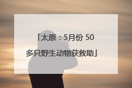 太原：5月份 50多只野生动物获救助