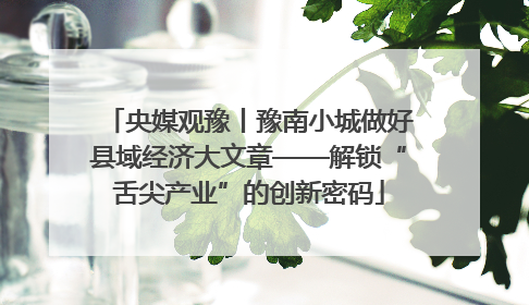 央媒观豫丨豫南小城做好县域经济大文章——解锁“舌尖产业”的创新密码