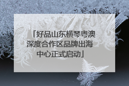 好品山东横琴粤澳深度合作区品牌出海中心正式启动