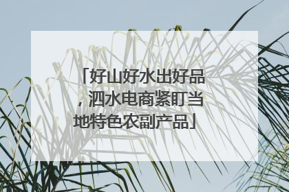 好山好水出好品，泗水电商紧盯当地特色农副产品