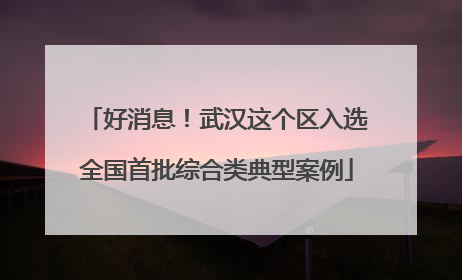 好消息！武汉这个区入选全国首批综合类典型案例