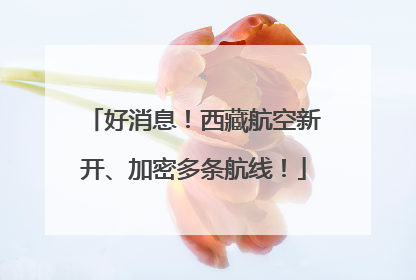好消息！西藏航空新开、加密多条航线！