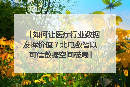 如何让医疗行业数据发挥价值？北电数智以可信数据空间破局