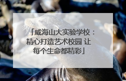 威海山大实验学校：精心打造艺术校园 让每个生命都精彩