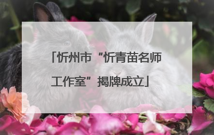 忻州市“忻青苗名师工作室”揭牌成立