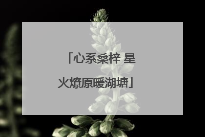 心系桑梓 星火燎原暖湖塘