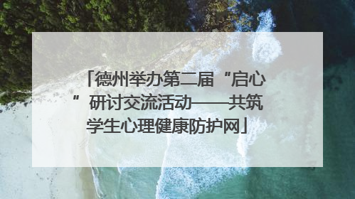 德州举办第二届“启心”研讨交流活动——共筑学生心理健康防护网