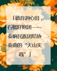 德育润心田，石榴籽抱团——奏响民族团结协奏曲的“天山实践”