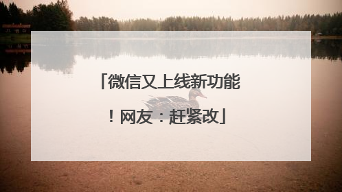 微信又上线新功能！网友：赶紧改