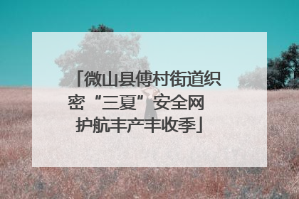 微山县傅村街道织密“三夏”安全网 护航丰产丰收季