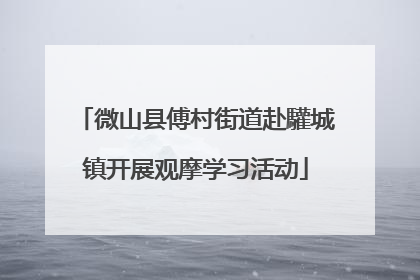 微山县傅村街道赴驩城镇开展观摩学习活动