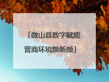 微山县数字赋能营商环境焕新颜