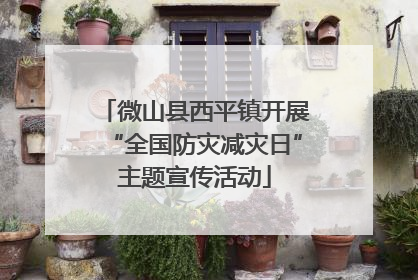 微山县西平镇开展“全国防灾减灾日”主题宣传活动