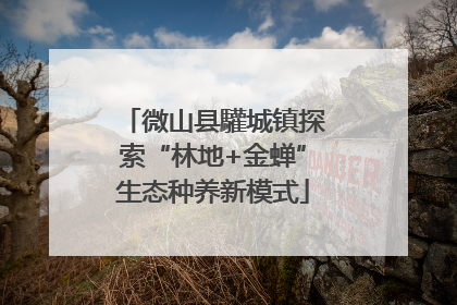 微山县驩城镇探索“林地+金蝉”生态种养新模式