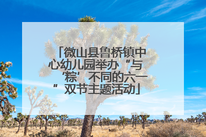 微山县鲁桥镇中心幼儿园举办“与‘粽’不同的六一”双节主题活动
