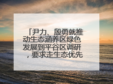 尹力、殷勇就推动生态涵养区绿色发展到平谷区调研，要求走生态优先、绿色低碳的高质量发展之路