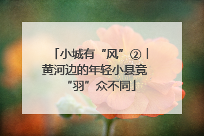 小城有“风”②丨黄河边的年轻小县竟“羽”众不同