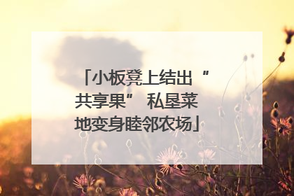 小板凳上结出“共享果” 私垦菜地变身睦邻农场