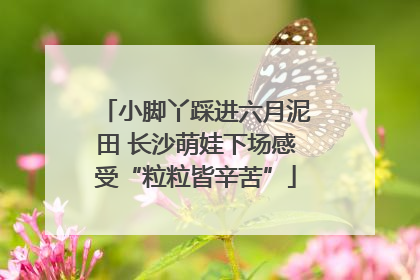 小脚丫踩进六月泥田 长沙萌娃下场感受“粒粒皆辛苦”