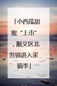小西瓜甜蜜“上市”，顺义区北务镇进入采摘季