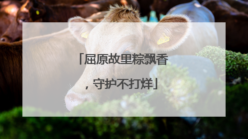 屈原故里粽飘香，守护不打烊