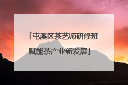 屯溪区茶艺师研修班赋能茶产业新发展