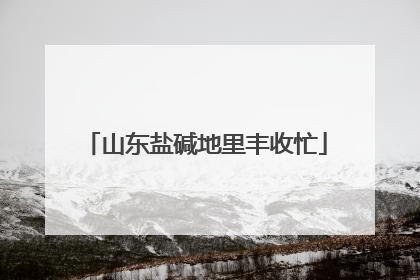 山东盐碱地里丰收忙