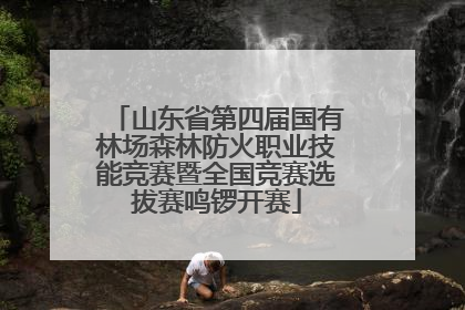 山东省第四届国有林场森林防火职业技能竞赛暨全国竞赛选拔赛鸣锣开赛