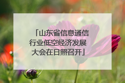 山东省信息通信行业低空经济发展大会在日照召开