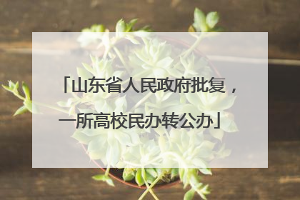 山东省人民政府批复，一所高校民办转公办