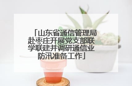 山东省通信管理局赴枣庄开展党支部联学联建并调研通信业防汛准备工作