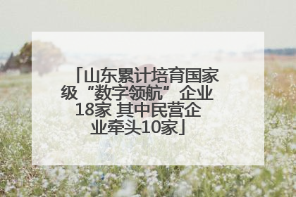 山东累计培育国家级“数字领航”企业18家 其中民营企业牵头10家