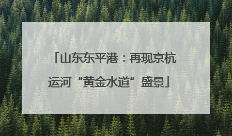 山东东平港：再现京杭运河“黄金水道”盛景