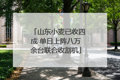 山东小麦已收四成 单日上阵八万余台联合收割机