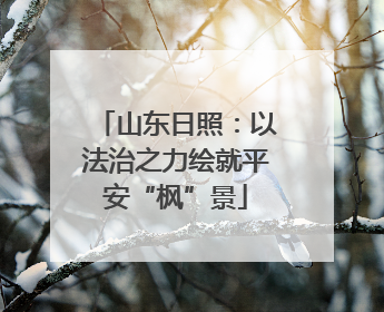 山东日照：以法治之力绘就平安“枫”景