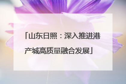 山东日照：深入推进港产城高质量融合发展