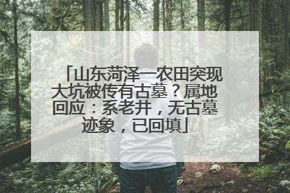山东菏泽一农田突现大坑被传有古墓？属地回应：系老井，无古墓迹象，已回填