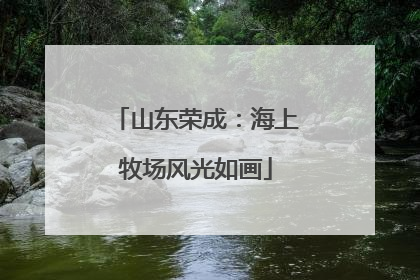 山东荣成：海上牧场风光如画