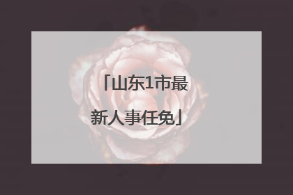 山东1市最新人事任免