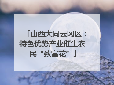 山西大同云冈区：特色优势产业催生农民“致富花”