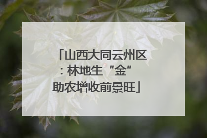 山西大同云州区：林地生“金” 助农增收前景旺