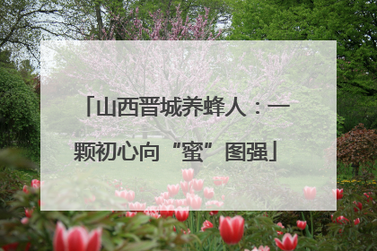 山西晋城养蜂人：一颗初心向“蜜”图强