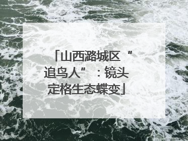 山西潞城区“追鸟人”：镜头定格生态蝶变