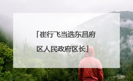 崔行飞当选东昌府区人民政府区长
