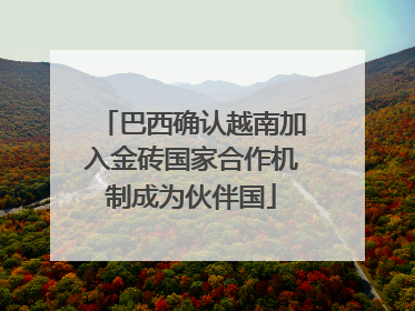 巴西确认越南加入金砖国家合作机制成为伙伴国