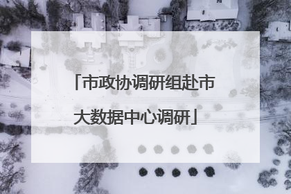 市政协调研组赴市大数据中心调研